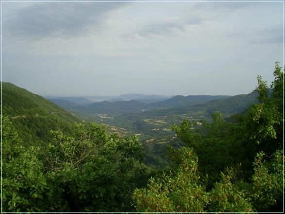 SANY0827