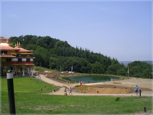 SANY0856