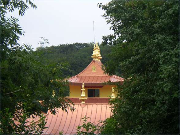 SANY0891