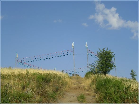 SANY0960