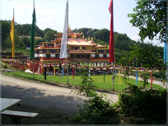 SANY0977