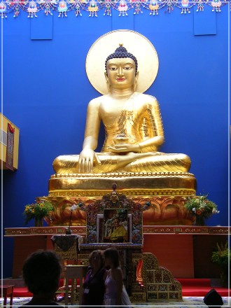 SANY0981