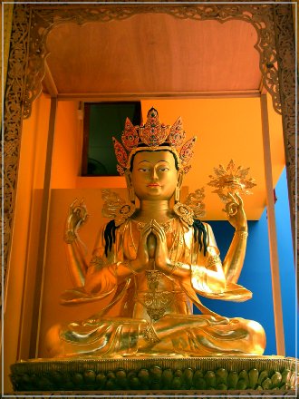 SANY0985